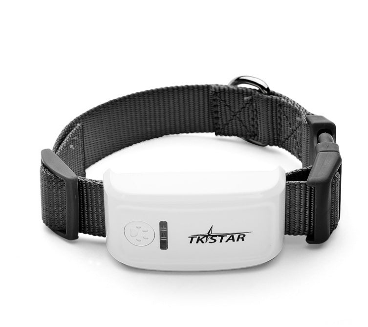 Best GPS Trackers for Dogs That Escape Often