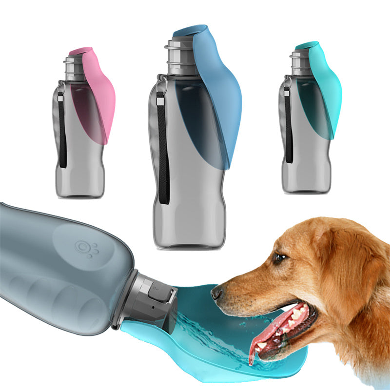 Best Pet Water Fountains for Multiple Cats