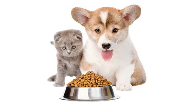 Nutrition
