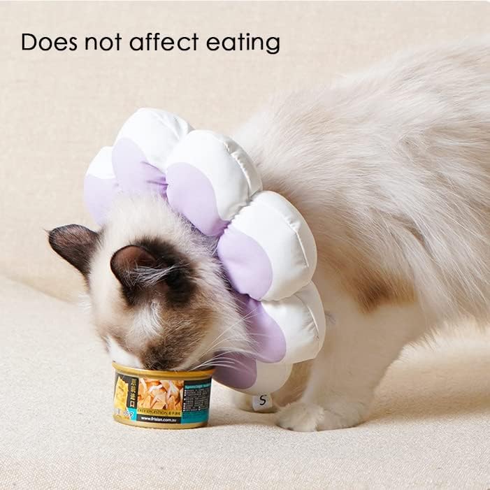 524b547be58e1a3a7740538fda0c5c42